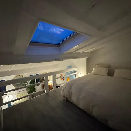 Superbe Duplex Entre Le Vieux Et La Prom Appartement