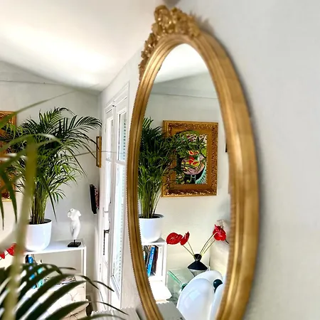 Superbe Duplex Entre Le Vieux Et La Prom Appartement
